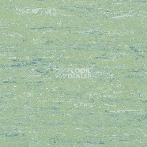 Линолеум Gerflor Linodur Sport 1036 Smooth Green фото 1 | FLOORDEALER